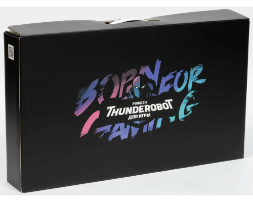 Ноутбук игровой Thunderobot 911 PLUS 17.3" Core i7-13620H, 32GB, 1TB, RTX 4060, Windows 11, Grey